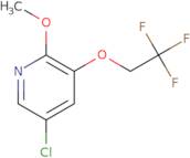 5-Chloro-2-methoxy-3-(2,2,2-trifluoroethoxy)pyridine