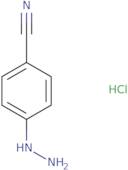 4-Cyanophenylhydrazine HCl