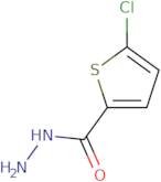 5-Chlorothiophene-2-carboxylic acid hydrazide