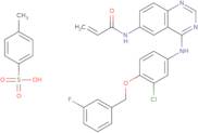 N-[4-[[3-Chloro-4-[(3-fluorophenyl)methoxy]phenyl]amino]-6-quinazolinyl]-2-propenamide 4-methylbenzenesulfonate