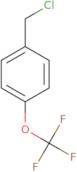 1-(chloromethyl)-4-(trifluoromethoxy)benzene