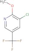 3-chloro-2-methoxy-5-(trifluoromethyl)pyridine