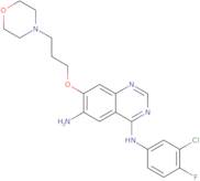 4-n-(3-chloro-4-fluorophenyl)-7-(3-morpholin-4-ylpropoxy)qui