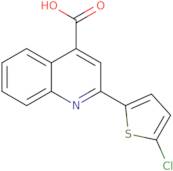 2-(5-Chlorothien-2-yl)quinoline-4-carboxylic acid