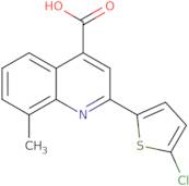 2-(5-Chlorothien-2-yl)-8-methylquinoline-4-carboxylic acid