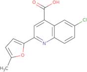 6-Chloro-2-(5-methyl-2-furyl)quinoline-4-carboxylic acid