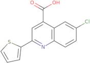 6-Chloro-2-thien-2-ylquinoline-4-carboxylic acid