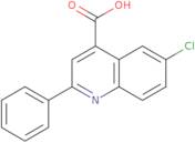 6-Chloro-2-phenylquinoline-4-carboxylic acid