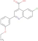 6-Chloro-2-(3-ethoxyphenyl)quinoline-4-carboxylic acid