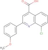 8-Chloro-2-(3-methoxyphenyl)quinoline-4-carboxylic acid