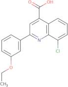 8-Chloro-2-(3-ethoxyphenyl)quinoline-4-carboxylic acid