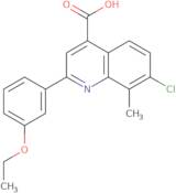 7-Chloro-2-(3-ethoxyphenyl)-8-methylquinoline-4-carboxylic acid