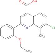 7-Chloro-2-(2-ethoxyphenyl)-8-methylquinoline-4-carboxylic acid