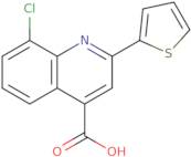 8-Chloro-2-thien-2-ylquinoline-4-carboxylic acid