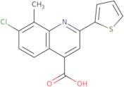 7-Chloro-8-methyl-2-thien-2-ylquinoline-4-carboxylic acid