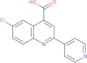 6-Chloro-2-pyridin-4-ylquinoline-4-carboxylic acid