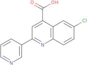 6-Chloro-2-pyridin-3-ylquinoline-4-carboxylic acid