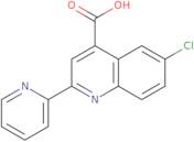 6-Chloro-2-pyridin-2-ylquinoline-4-carboxylic acid