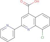 8-Chloro-2-pyridin-2-ylquinoline-4-carboxylic acid