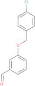 3-[(4-Chlorobenzyl)oxy]benzaldehyde