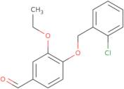 4-[(2-Chlorobenzyl)oxy]-3-ethoxybenzaldehyde