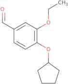 4-(Cyclopentyloxy)-3-ethoxybenzaldehyde