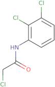 2-Chloro-N-(2,3-dichlorophenyl)acetamide