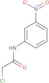 2-Chloro-N-(3-nitrophenyl)acetamide