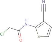 2-Chloro-N-(3-cyanothien-2-yl)acetamide