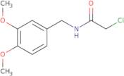 2-Chloro-N-(3,4-dimethoxybenzyl)acetamide