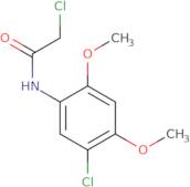 2-Chloro-N-(5-chloro-2,4-dimethoxyphenyl)acetamide