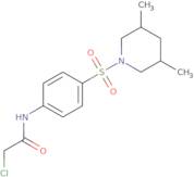 2-Chloro-N-{4-[(3,5-dimethylpiperidin-1-yl)sulfonyl]phenyl}acetamide