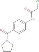 2-Chloro-N-[4-(pyrrolidin-1-ylcarbonyl)phenyl]acetamide