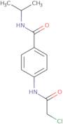 4-[(Chloroacetyl)amino]-N-isopropylbenzamide