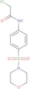 2-Chloro-N-[4-(morpholin-4-ylsulfonyl)phenyl]acetamide