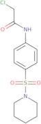 2-Chloro-N-[4-(piperidin-1-ylsulfonyl)phenyl]acetamide