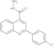 2-(4-Chlorophenyl)quinoline-4-carbohydrazide