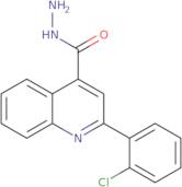 2-(2-Chlorophenyl)quinoline-4-carbohydrazide