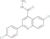 6-Chloro-2-(4-chlorophenyl)quinoline-4-carbohydrazide