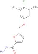 5-[(4-Chloro-3,5-dimethylphenoxy)methyl]-2-furohydrazide