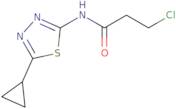 3-Chloro-N-(5-cyclopropyl-1,3,4-thiadiazol-2-yl)propanamide