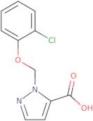 1-[(2-Chlorophenoxy)methyl]-1H-pyrazole-5-carboxylic acid