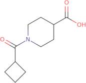 1-(Cyclobutylcarbonyl)piperidine-4-carboxylic acid