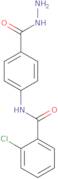 2-Chloro-N-[4-(hydrazinocarbonyl)phenyl]benzamide