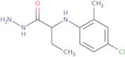 2-[(4-Chloro-2-methylphenyl)amino]butanohydrazide