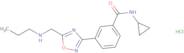 N-Cyclopropyl-3-{5-[(propylamino)methyl]-1,2,4-oxadiazol-3-yl}benzamide hydrochloride