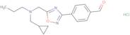 4-(5-{[(Cyclopropylmethyl)(propyl)amino]methyl}-1,2,4-oxadiazol-3-yl)benzaldehyde hydrochloride