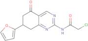 2-Chloro-N-[7-(2-furyl)-5-oxo-5,6,7,8-tetrahydroquinazolin-2-yl]acetamide