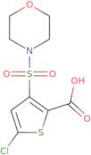 5-Chloro-3-(morpholin-4-ylsulfonyl)thiophene-2-carboxylic acid