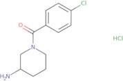 1-(4-Chlorobenzoyl)piperidin-3-amine hydrochloride